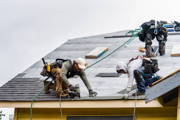 Professional Storm Damage Roof Repair technician working in Carlstadt, NJ
